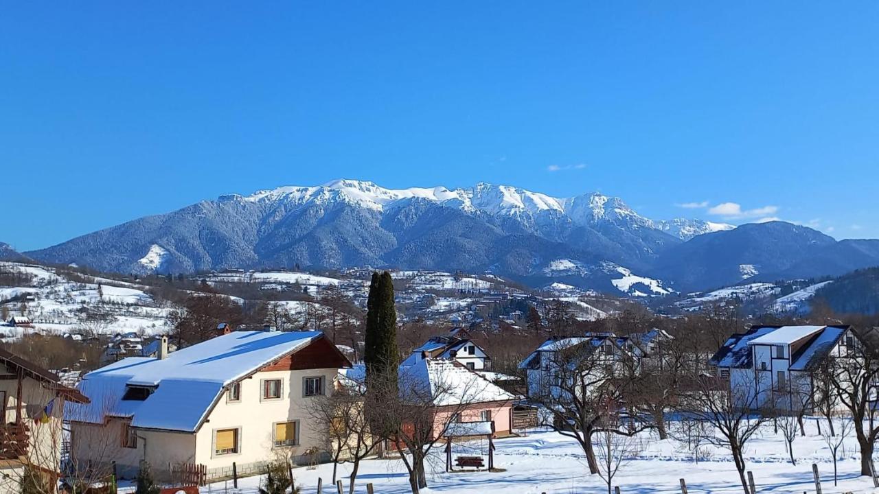 Chalet Cabanuta Casuta Din Povesti Bran (Brasov)