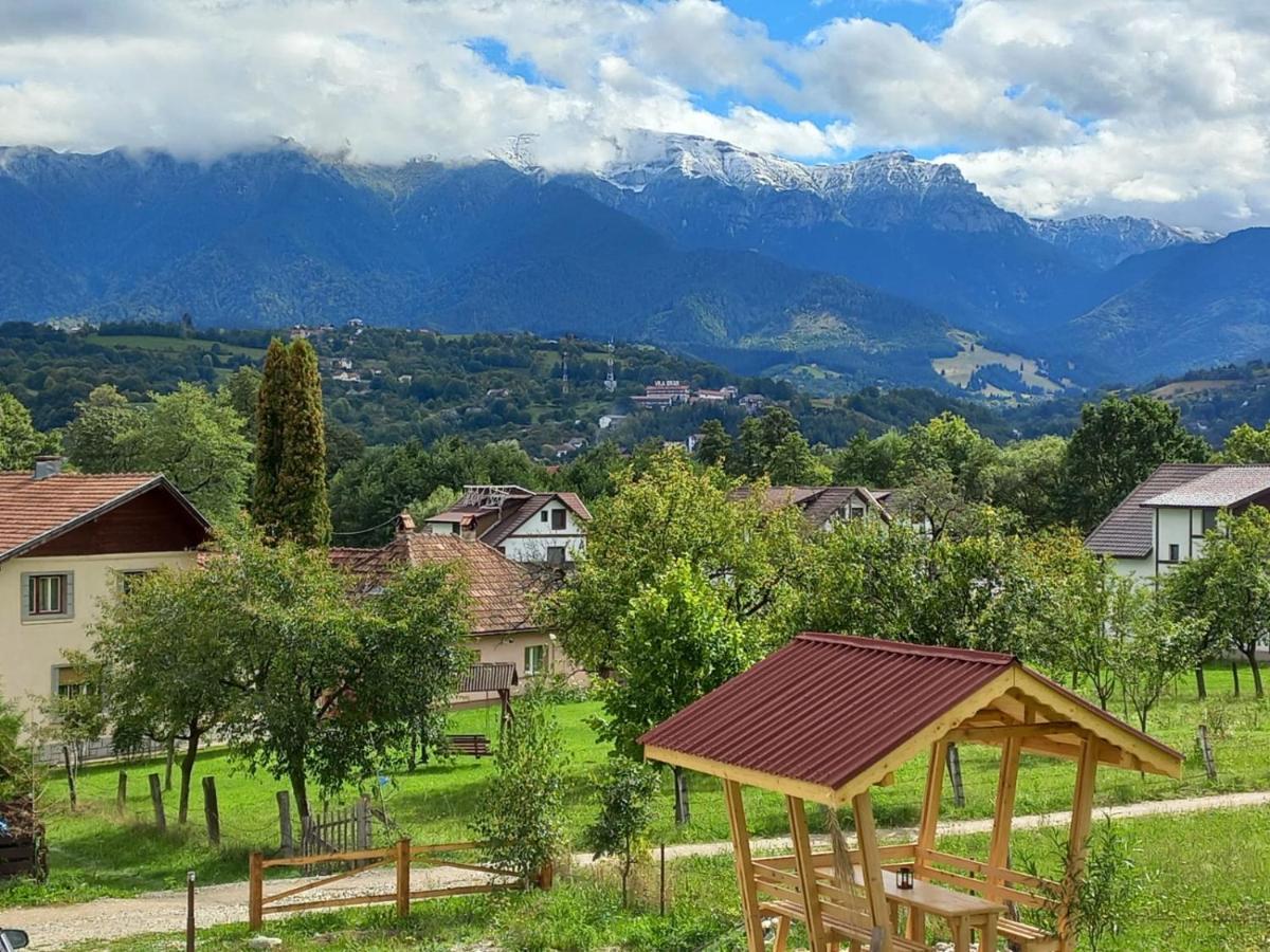 Chalet Cabanuta Casuta Din Povesti