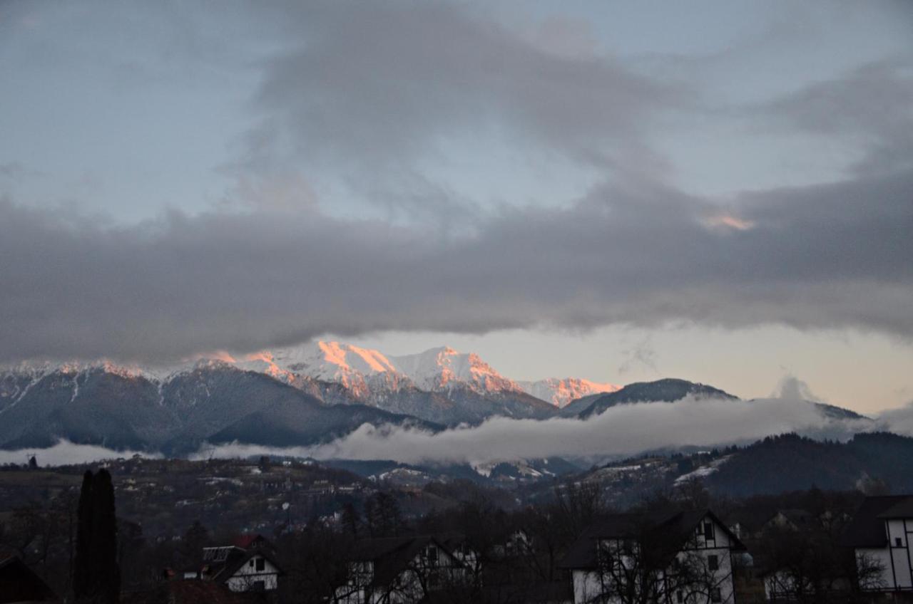 Cabanuta Casuta Din Povesti * Bran (Brasov)